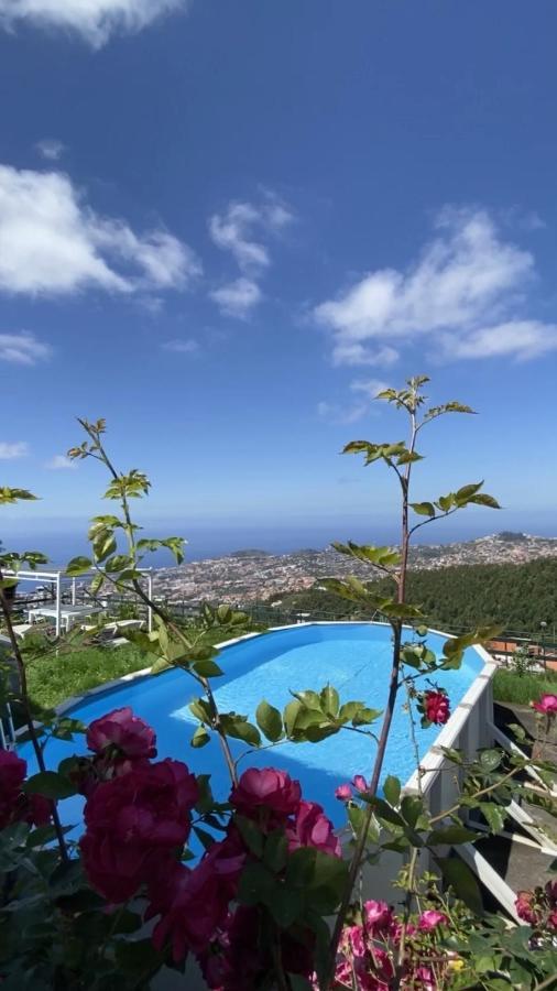 Studio Geek Villa - Open Space - 5M From 5 Top Attractions - Pool All Year Round, Dining Pergola, Barbecue - Funchal Matrix Holiday Home Extérieur photo